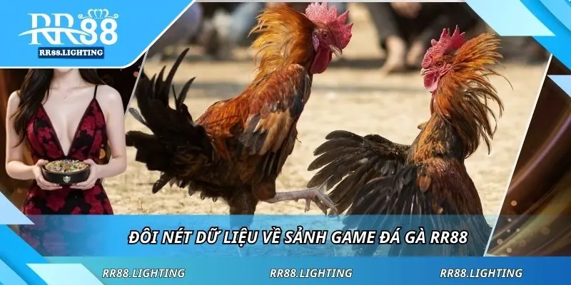 Đôi nét dữ liệu về sảnh game đá gà RR88